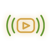 Live Streaming Options